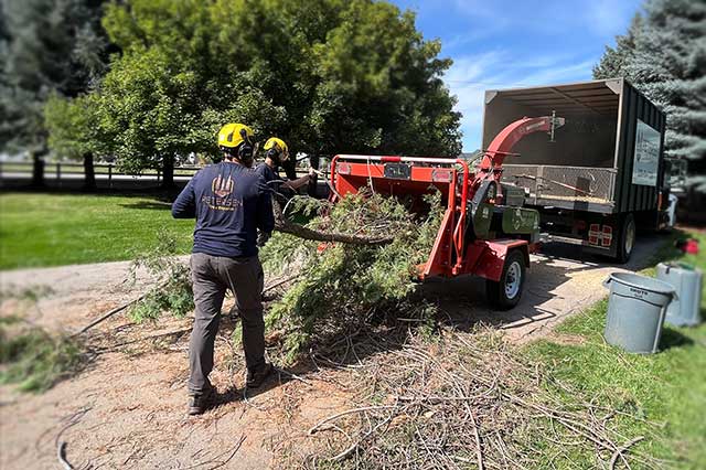 broken branch limb cut haul away