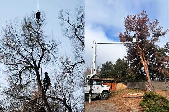 Crane Boom Lift Services