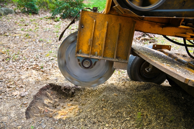 Stump removal service Meridian